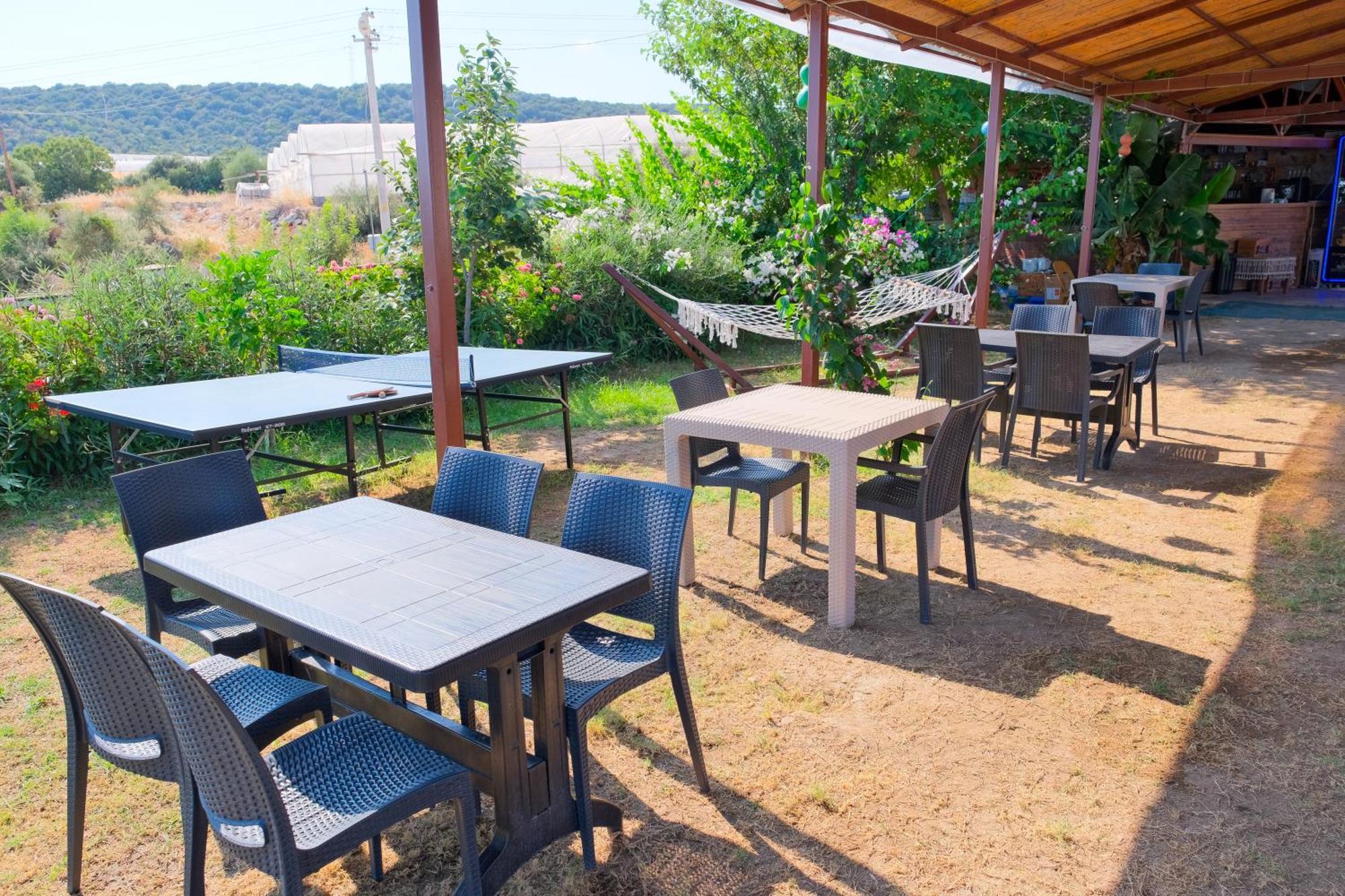 דמרה Bu Bungalow Hotel מראה חיצוני תמונה